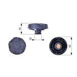 Gates Radiator Cap RC241