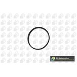 BGA Inlet Manifold Gasket RW3399