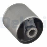 Delphi Wishbone / Control / Trailing Arm Bush TD1116W