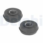 Delphi Wishbone / Control / Trailing Arm Bush Front Lower, Outer TD166W