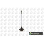 BGA Inlet Valve V149486