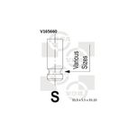 BGA Inlet Valve V165660