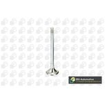 BGA Exhaust Valve V165961