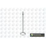 BGA Inlet Valve V200610