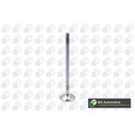 BGA Exhaust Valve V203633