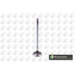BGA Inlet Valve V204954