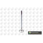 BGA Exhaust Valve V204955