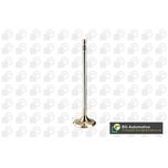 BGA Inlet Valve V205096