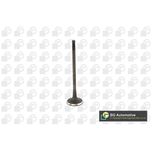 BGA Inlet Valve V236819