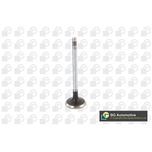 BGA Inlet Valve V424831