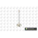 BGA Exhaust Valve V820011