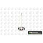 BGA Inlet Valve V998902