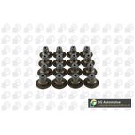 BGA Valve Stem Seal VK2377