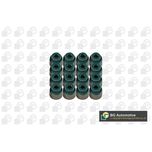 BGA Valve Stem Seal VK5328