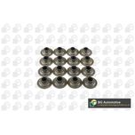 BGA Valve Stem Seal VK5343