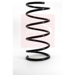 Apec Coil Spring Front ACS1005