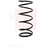 Apec Coil Spring Front ACS1011