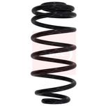 Apec Coil Spring Rear ACS1028