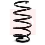 Apec Coil Spring Front ACS1093