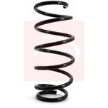 Apec Coil Spring Front ACS1105