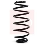 Apec Coil Spring Rear ACS1118