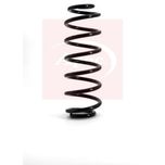Apec Coil Spring Rear ACS1119