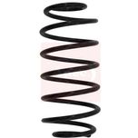 Apec Coil Spring Rear ACS1128