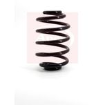 Apec Coil Spring Rear ACS1149