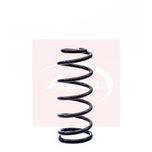 Apec Coil Spring Rear ACS1168