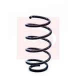 Apec Coil Spring Front ACS1234