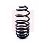 Apec Coil Spring Rear ACS1250