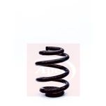 Apec Coil Spring Rear ACS1290