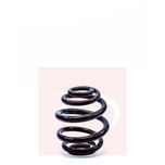 Apec Coil Spring Rear ACS1296