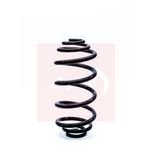 Apec Coil Spring Rear ACS1313