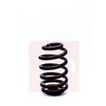 Apec Coil Spring Rear ACS1316