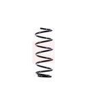 Apec Coil Spring Front ACS1368