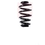 Apec Coil Spring Rear ACS1372