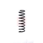 Apec Coil Spring Rear ACS1375