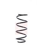 Apec Coil Spring Front ACS1378