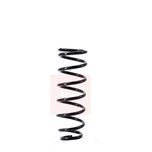 Apec Coil Spring Rear ACS1379