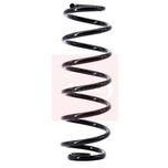 Apec Coil Spring Rear ACS1381