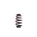 Apec Coil Spring Rear ACS1387
