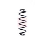 Apec Coil Spring Rear ACS1389