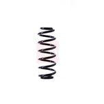 Apec Coil Spring Rear ACS1391