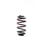 Apec Coil Spring Rear ACS1392