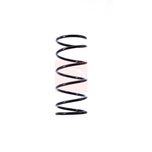 Apec Coil Spring Front ACS1394