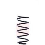 Apec Coil Spring Front ACS1398