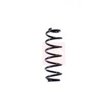 Apec Coil Spring Rear ACS1399