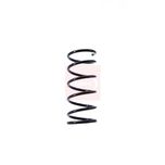 Apec Coil Spring Rear ACS1400