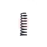Apec Coil Spring Rear ACS1401